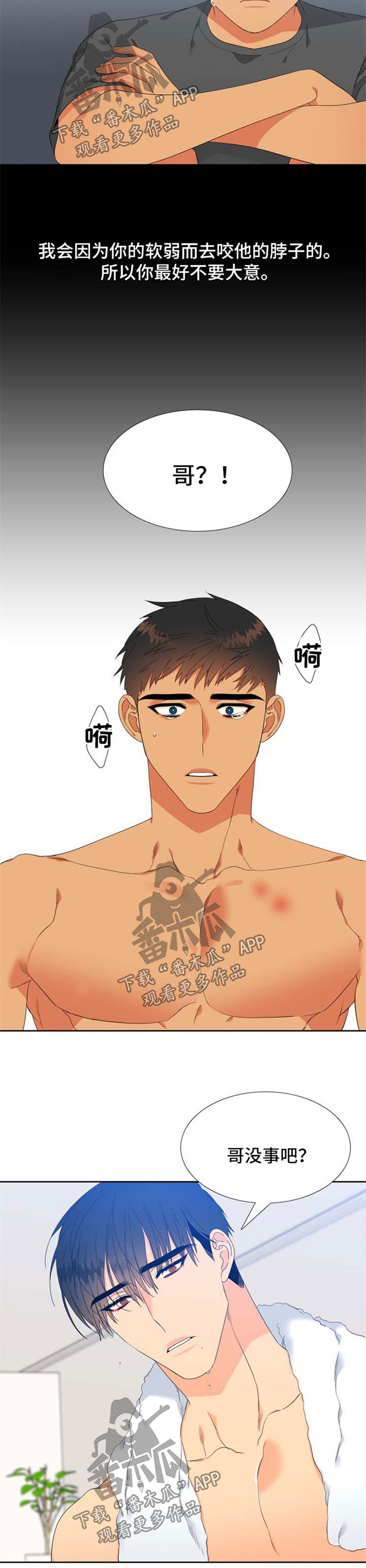 狼的香气漫画,第151章：【第二季】咬痕1图