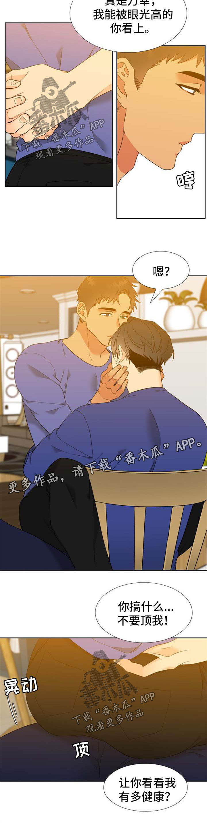 狼的香气漫画,第246章：【第二季】决定1图