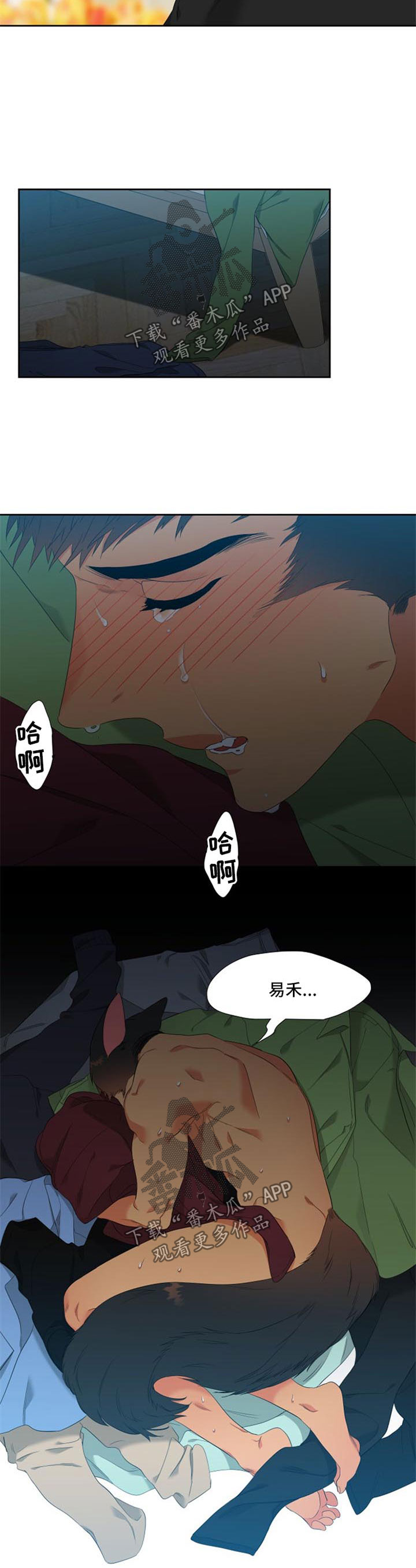 狼的香气漫画,第159章：【第二季】帮帮我3图