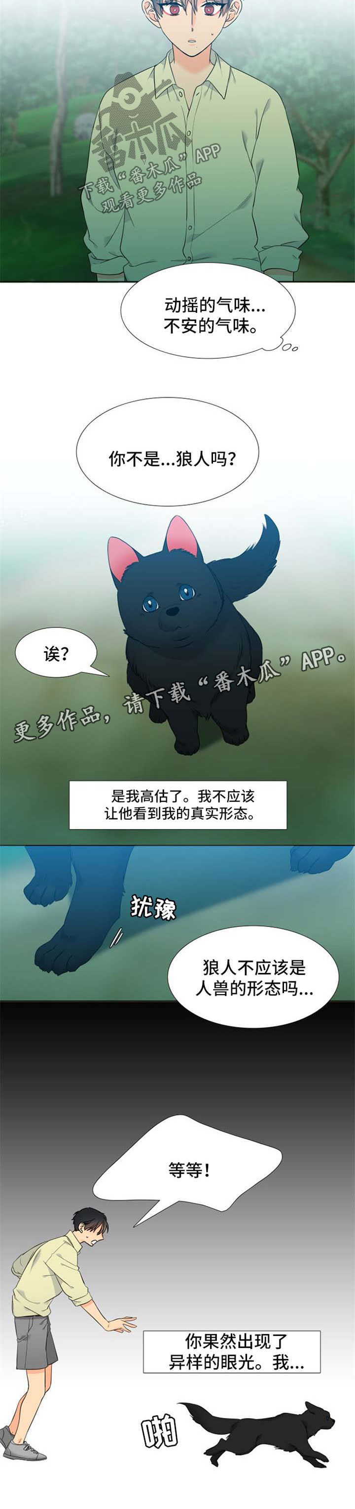 狼的香气漫画,第209章：【第二季】不要过于沉浸2图