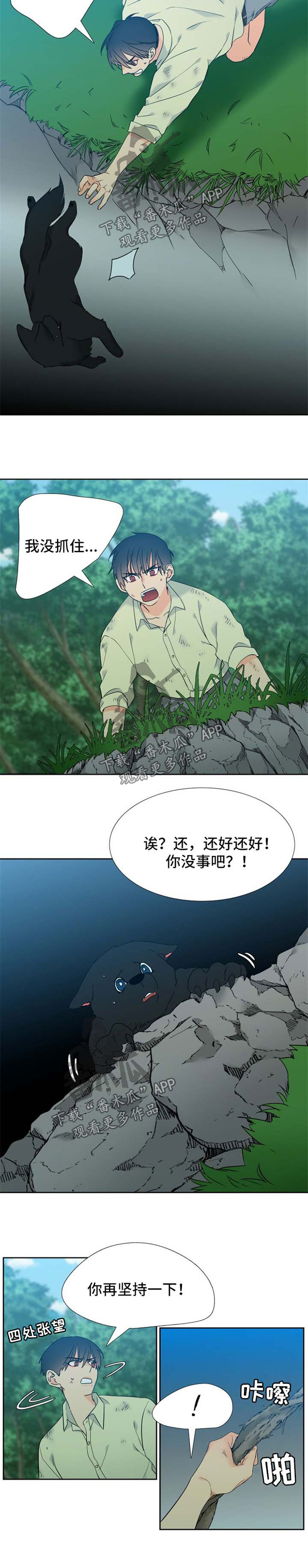狼的香气漫画,第210章：【第二季】期待重逢2图