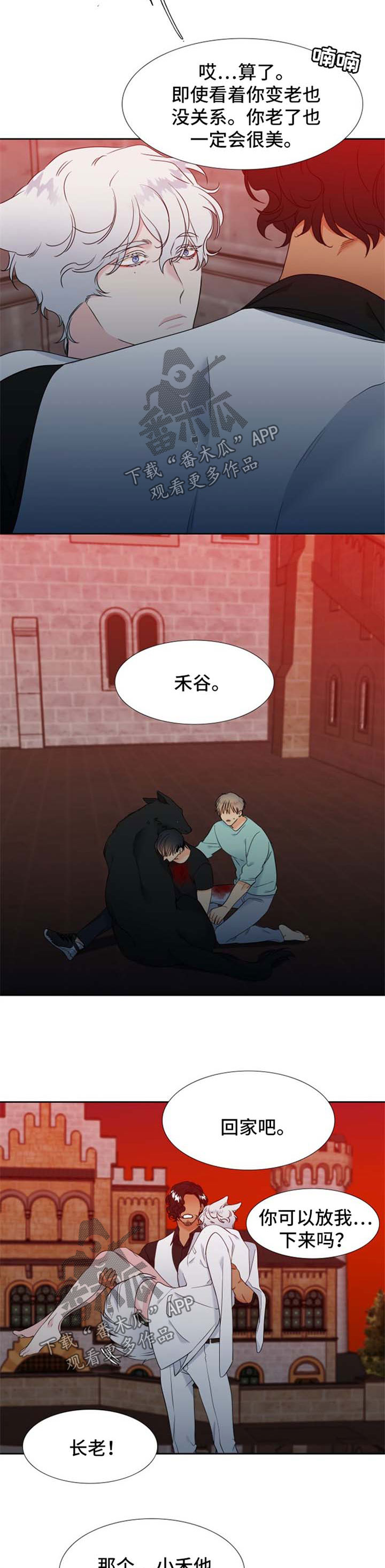狼的香气漫画,第192章：【第二季】组建一个幸福家庭3图