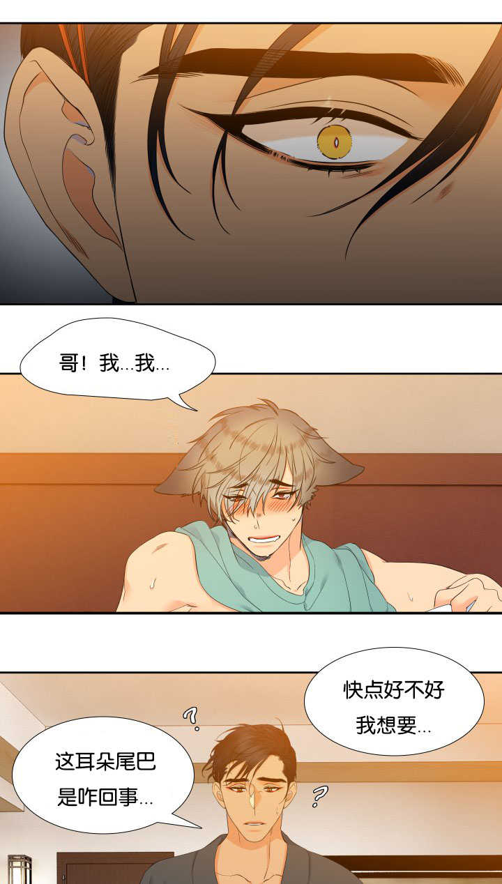 狼的香气漫画,第61章：受不了了3图