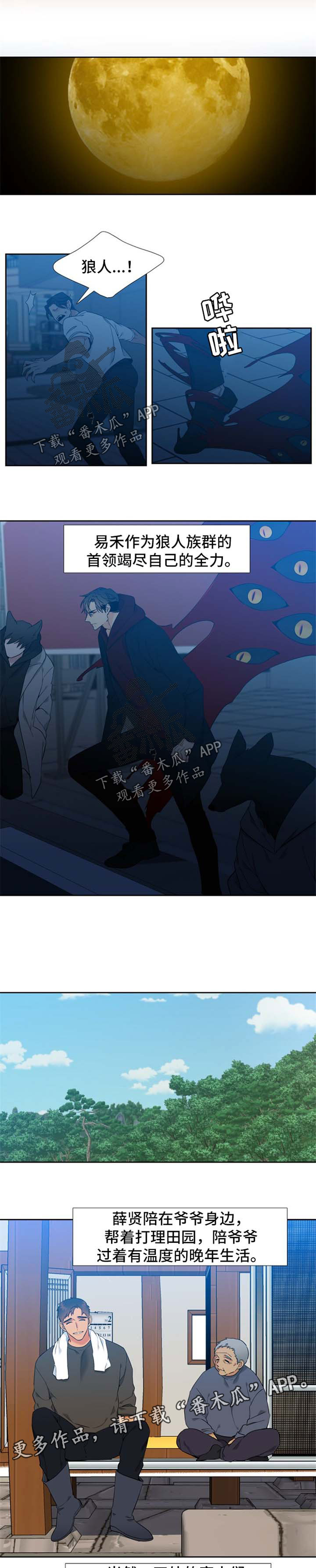 狼的香气漫画,第250章：【第二季】他们的婚礼【完结】1图