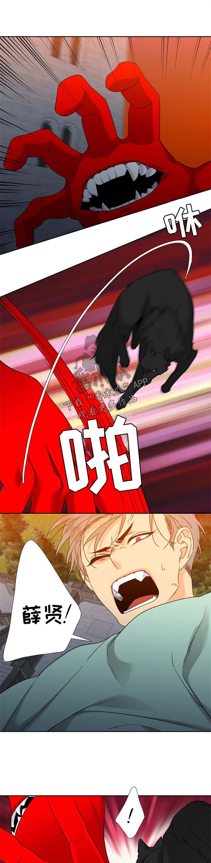 狼的香气漫画,第189章：【第二季】快离开这儿5图