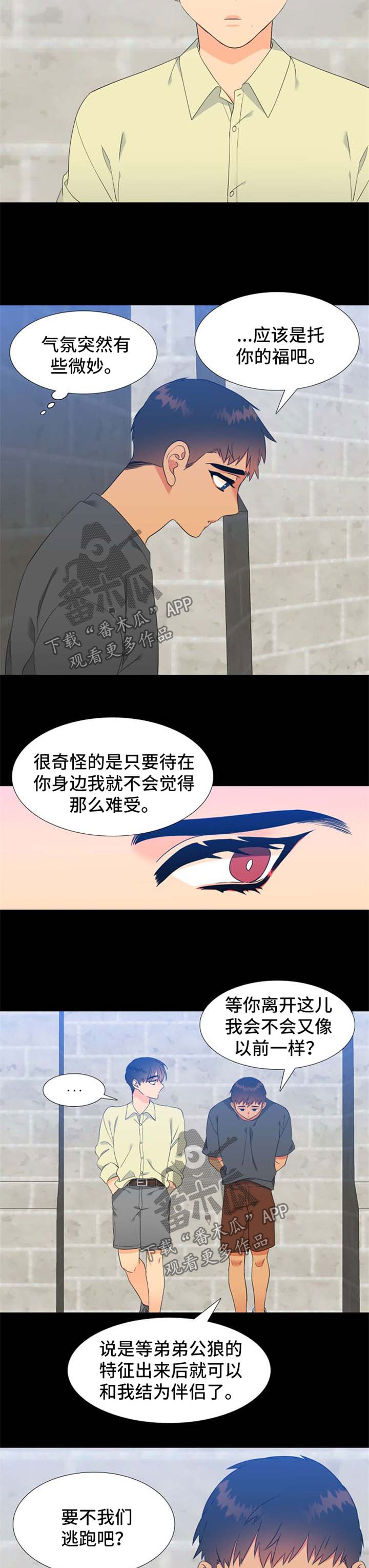 狼的香气漫画,第176章：【第二季】一见钟情5图