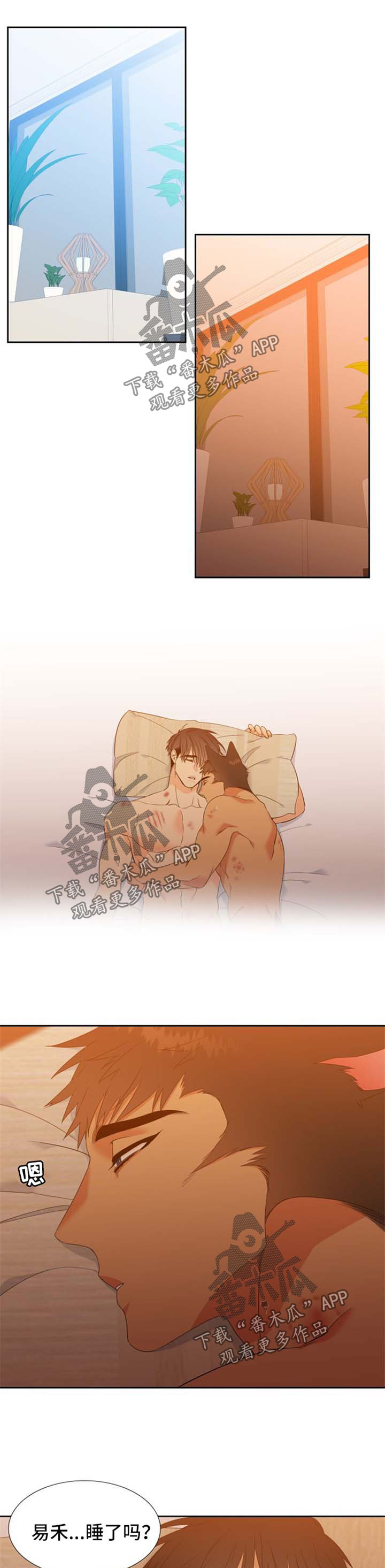 狼的香气漫画,第161章：【第二季】守护骨肉1图