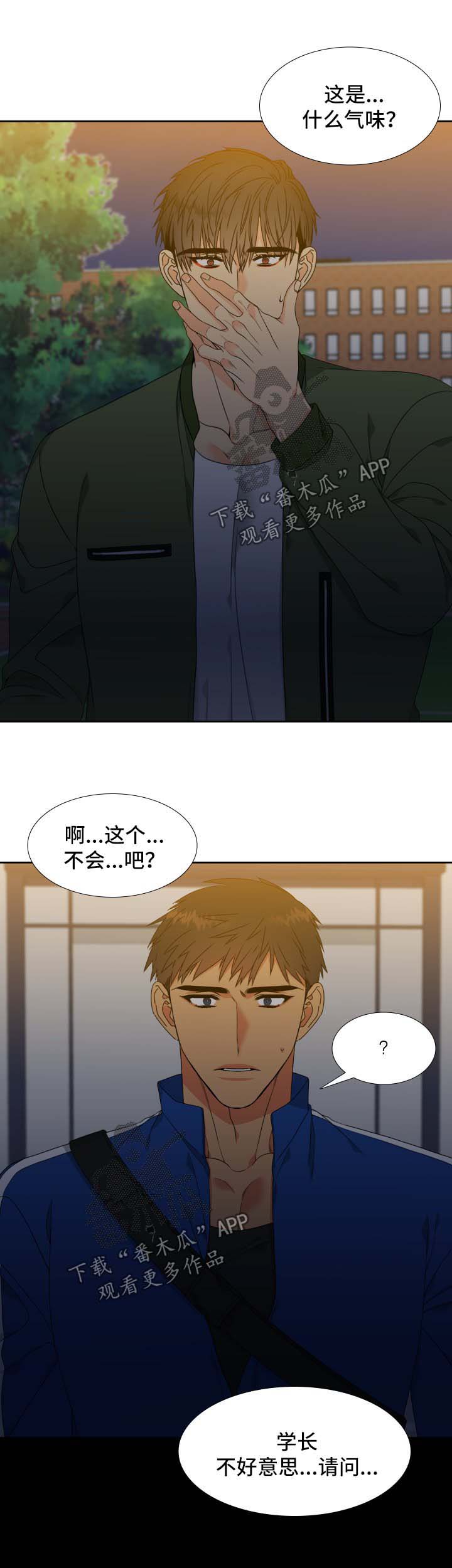 狼的香气漫画,第116章：【第二季】机会3图