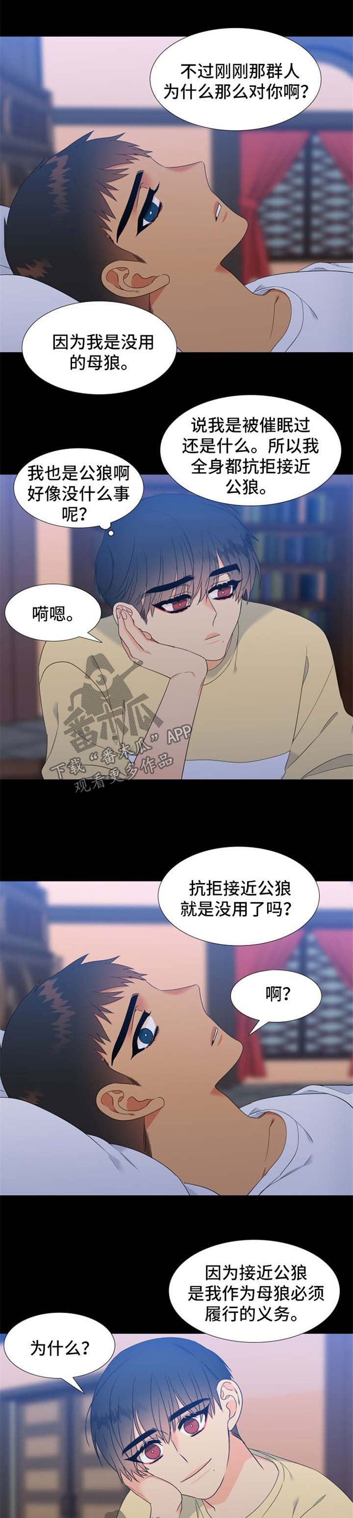 狼的香气漫画,第176章：【第二季】一见钟情2图