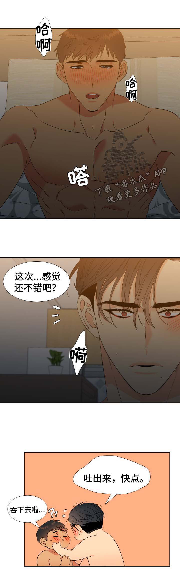狼的香气漫画,第139章：【第二季】哥哥去哪了4图