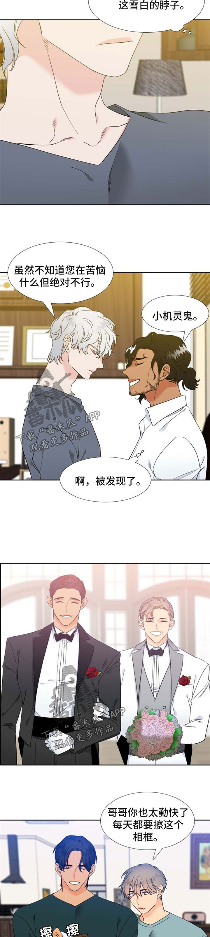 狼的香气漫画,第202章：【第二季】办婚礼4图