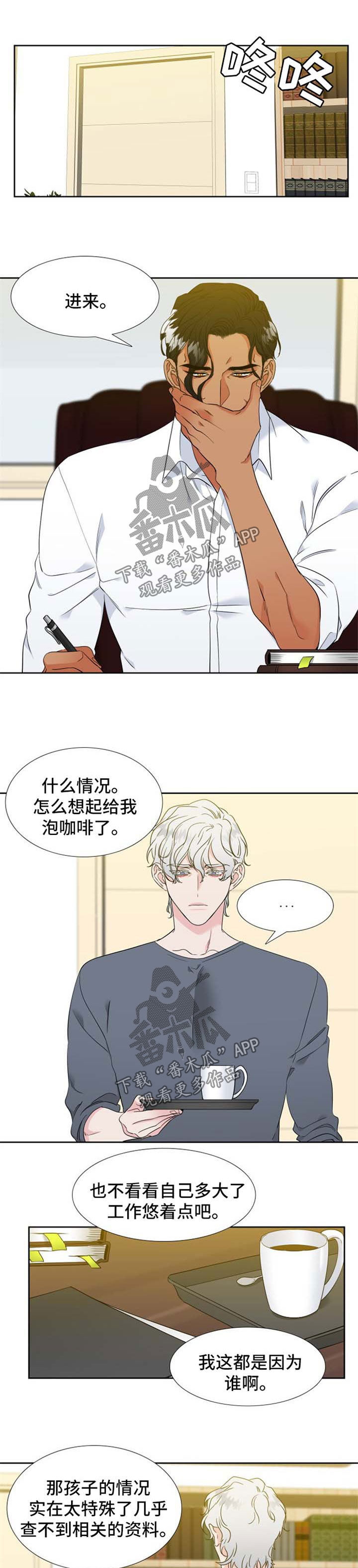 狼的香气漫画,第202章：【第二季】办婚礼1图
