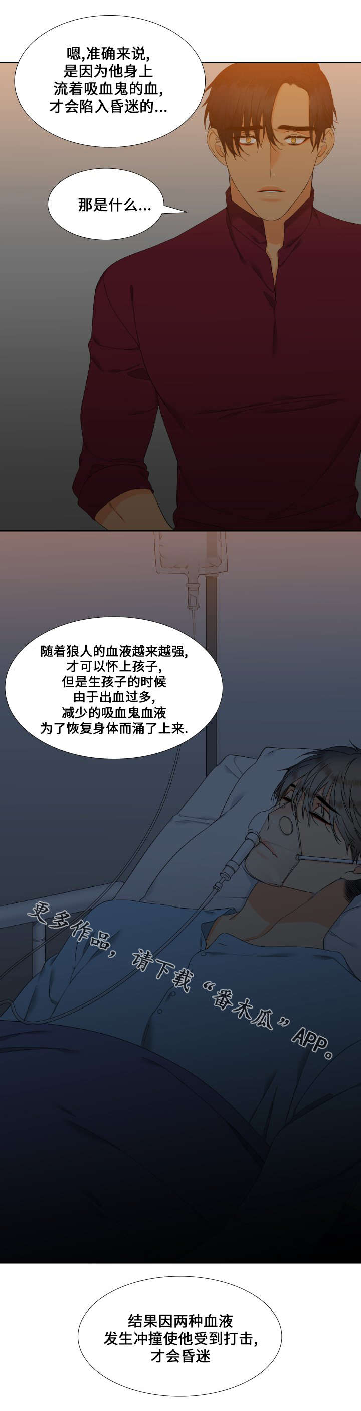 狼的香气漫画,第89章：昏迷3图