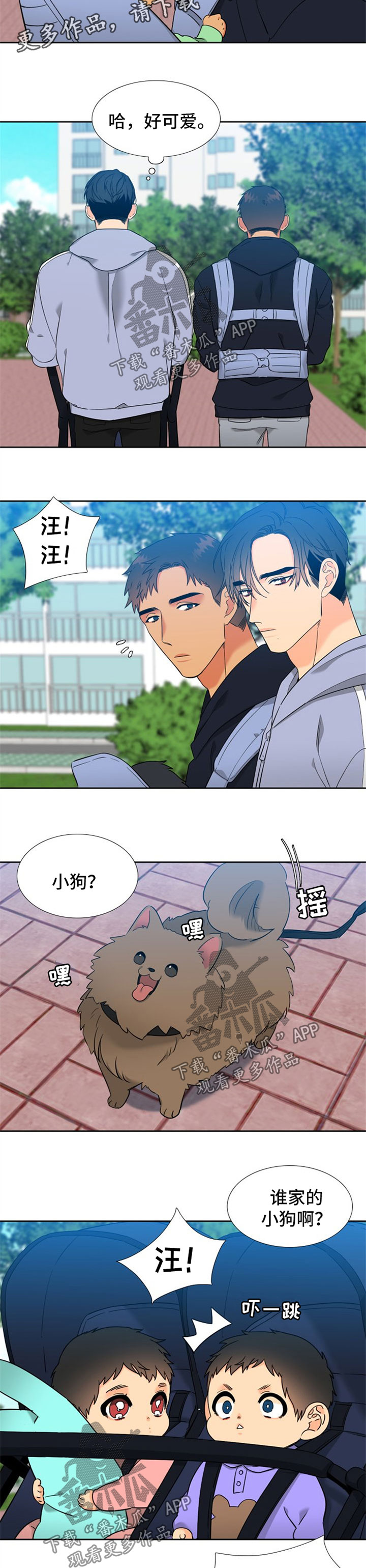 狼的香气漫画,第239章：【第二季】狗2图