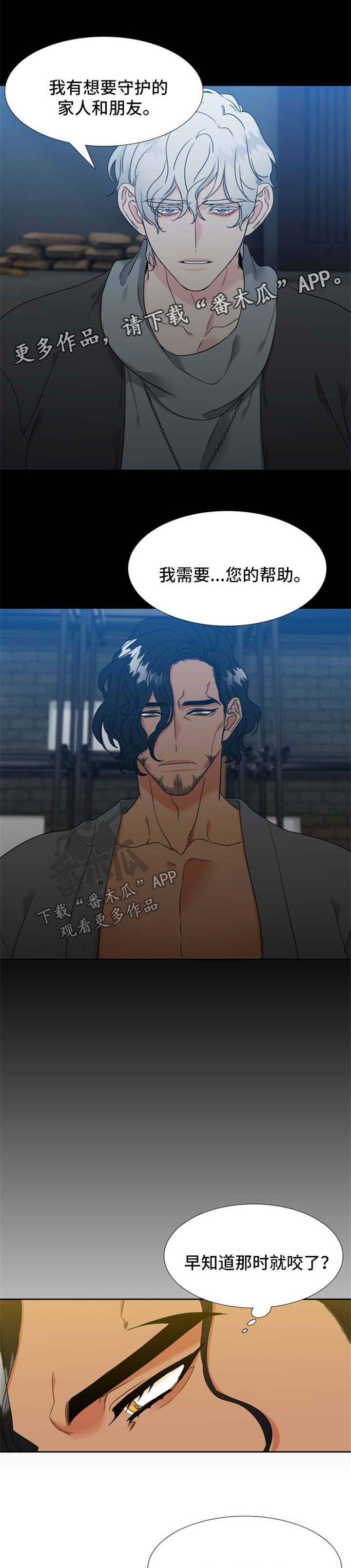 狼的香气漫画,第202章：【第二季】办婚礼3图