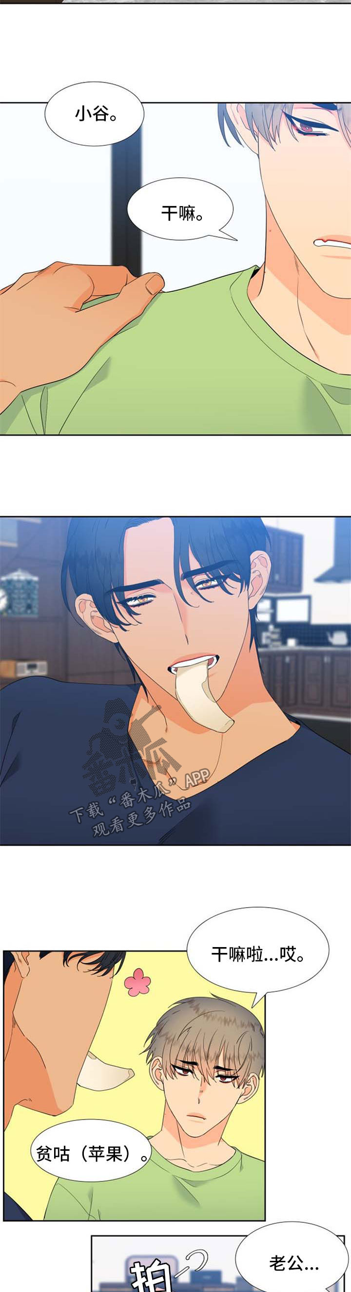 狼的香气漫画,第166章：【第二季】得知消息4图