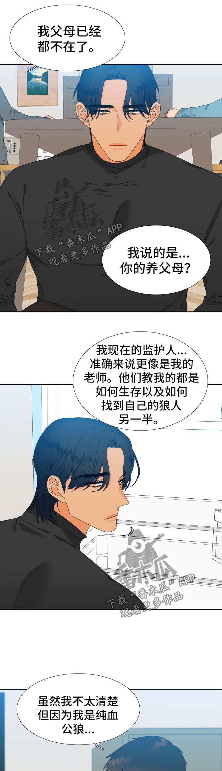 狼的香气漫画,第145章：【第二季】捏造记忆3图