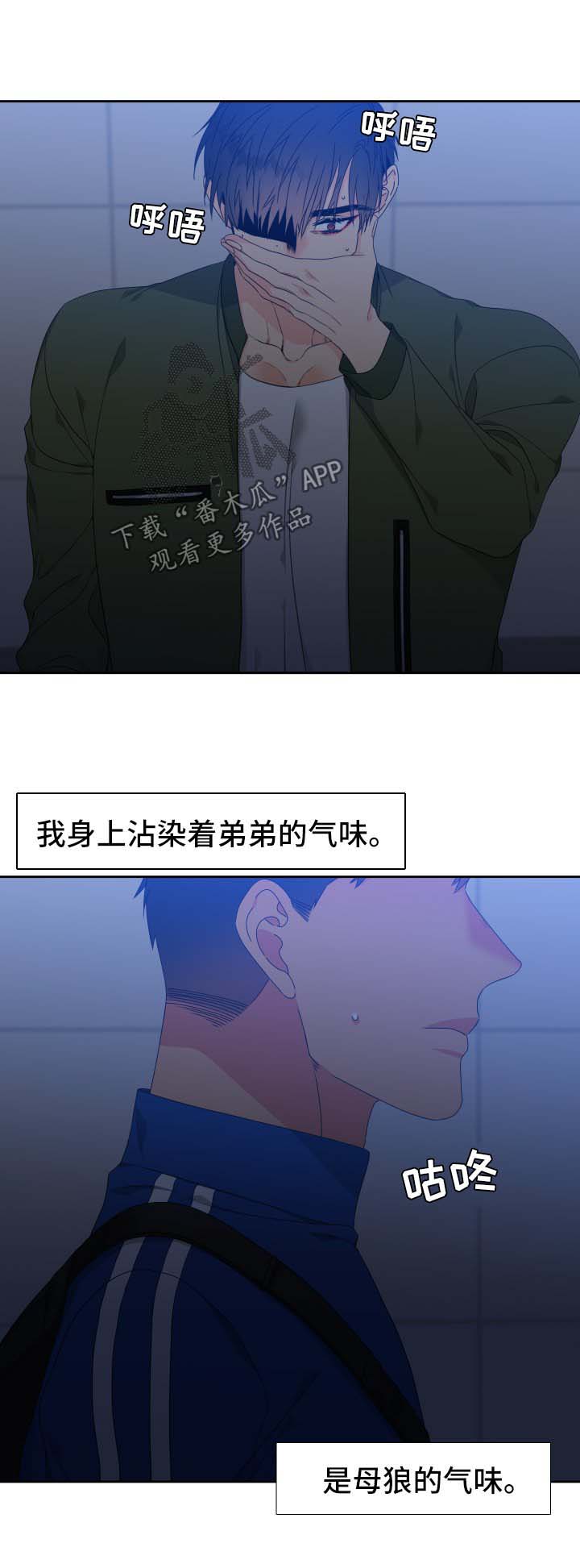 狼的香气漫画,第117章：【第二季】不能有失误3图