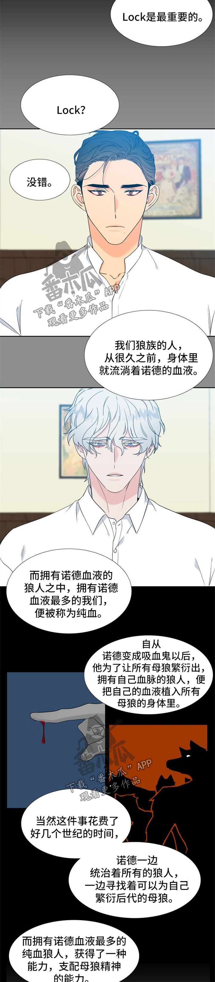 狼的香气漫画,第237章：【第二季】下一任狼族首领1图