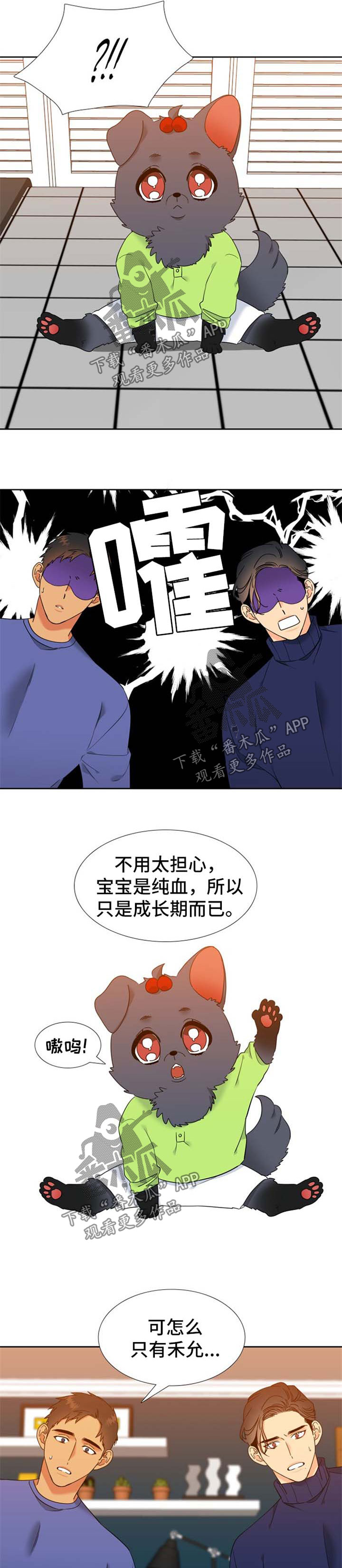 狼的香气漫画,第242章：【第二季】纯血狼化5图