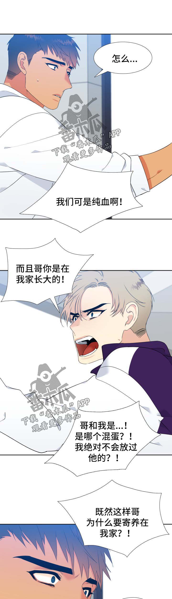 狼的香气漫画,第137章：【第二季】陌生的气味2图
