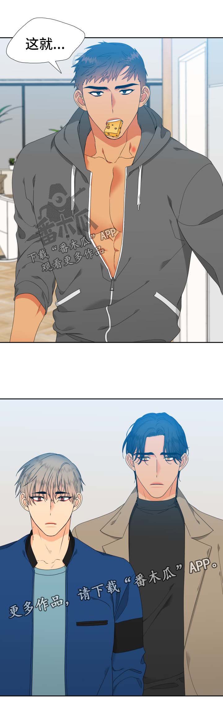 狼的香气漫画,第144章：【第二季】有客来访3图