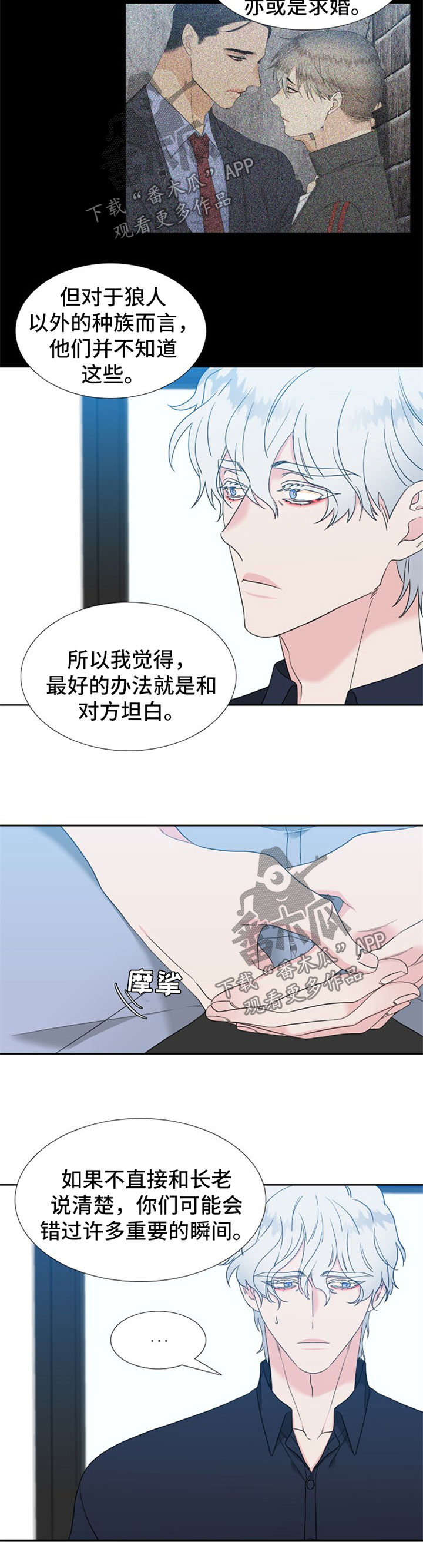 狼的香气漫画,第234章：【第二季】标记3图