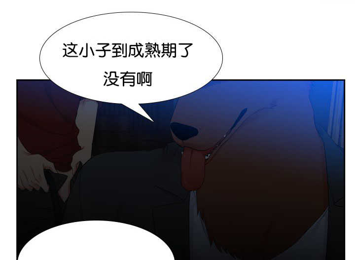狼的香气漫画,第23章：你答对了5图
