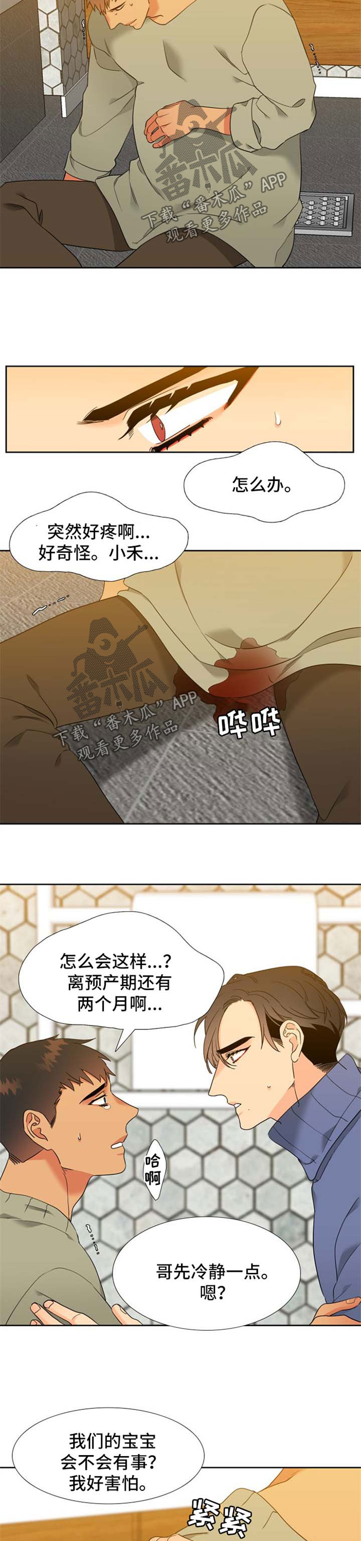 狼的香气漫画,第204章：【第二季】肚子痛1图