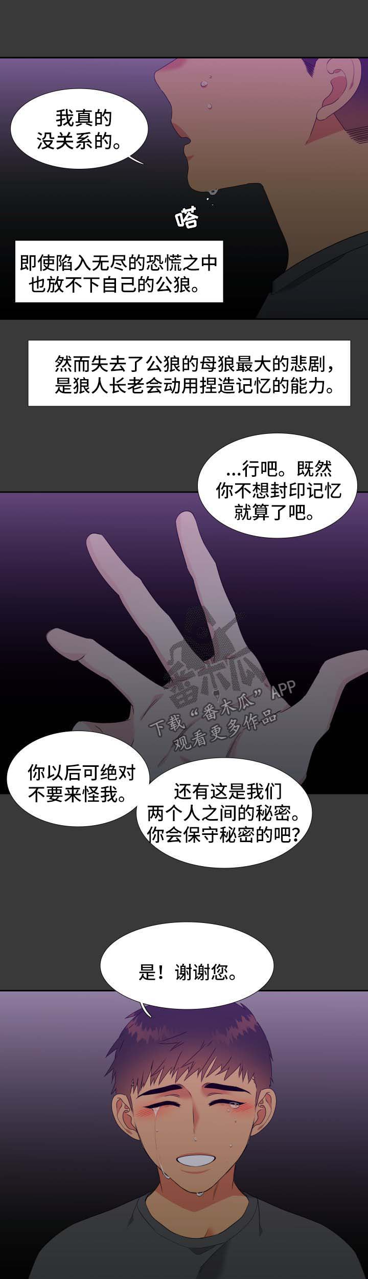 狼的香气漫画,第145章：【第二季】捏造记忆4图