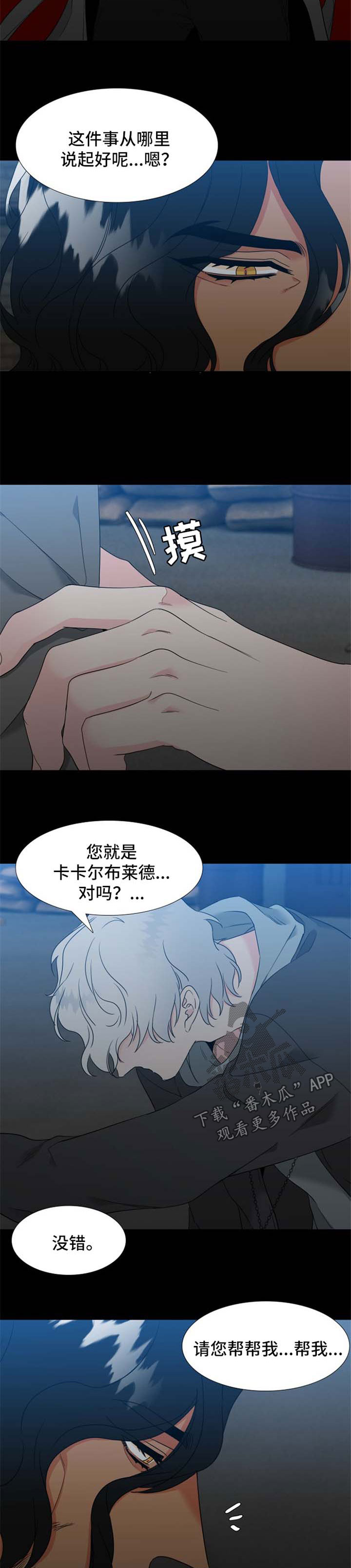 狼的香气漫画,第202章：【第二季】办婚礼1图