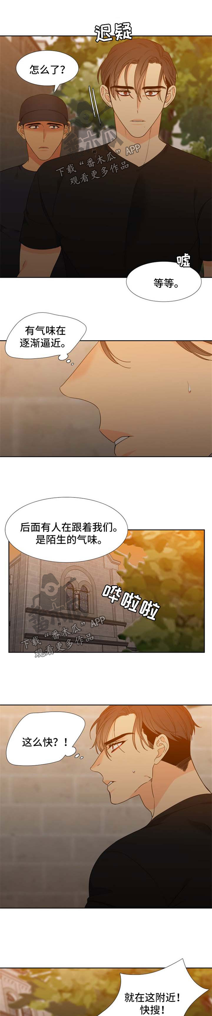 狼的香气漫画,第185章：【第二季】逃跑1图