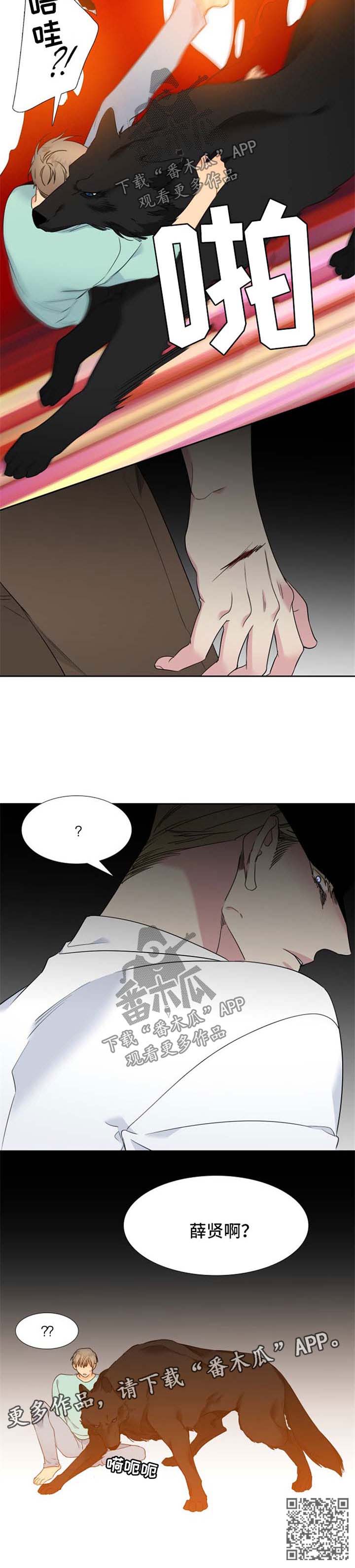 狼的香气漫画,第188章：【第二季】落下风4图