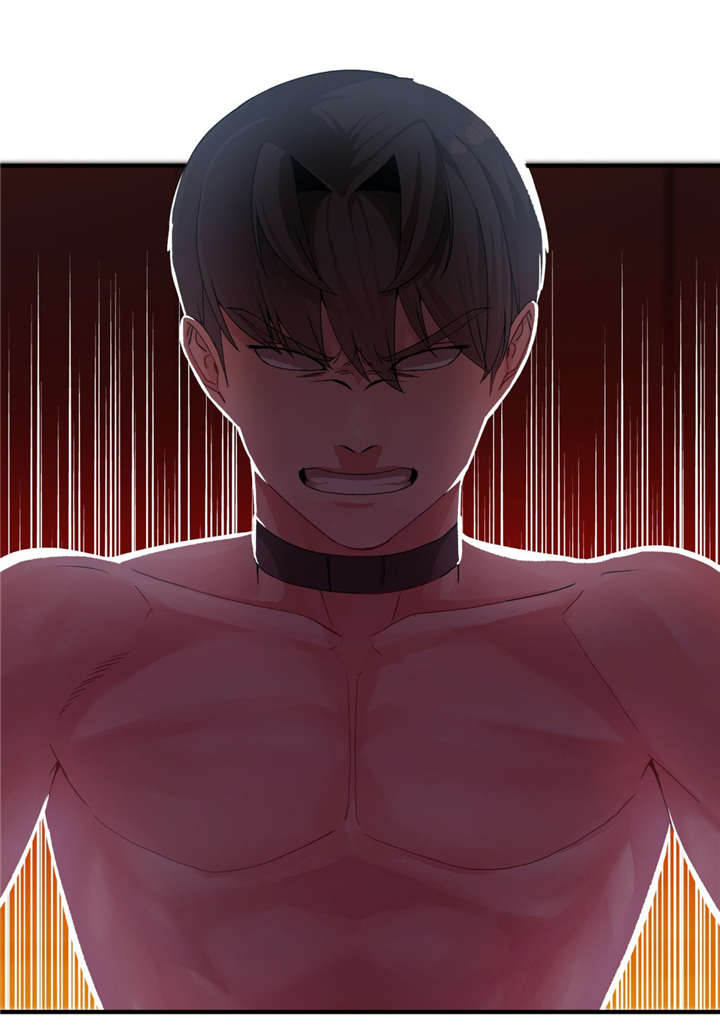 五夫人漫画,第19章：不会再上当4图