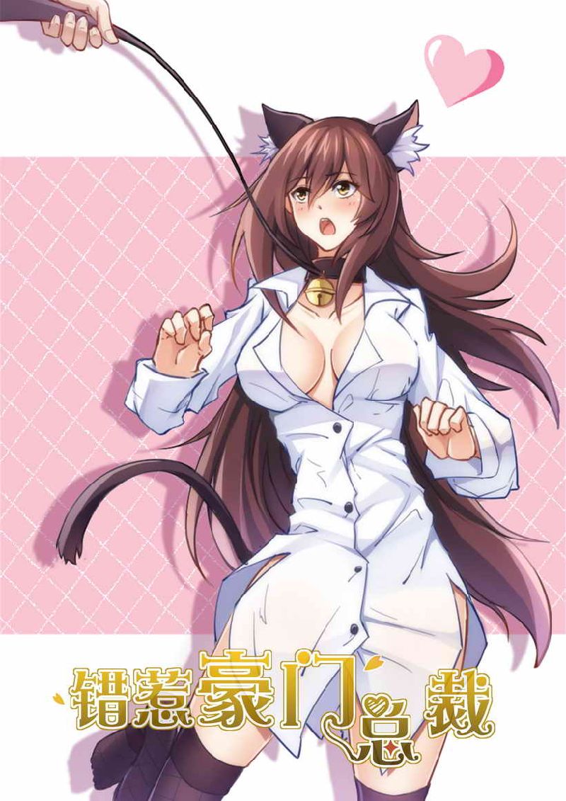 第29章：小妖精！0