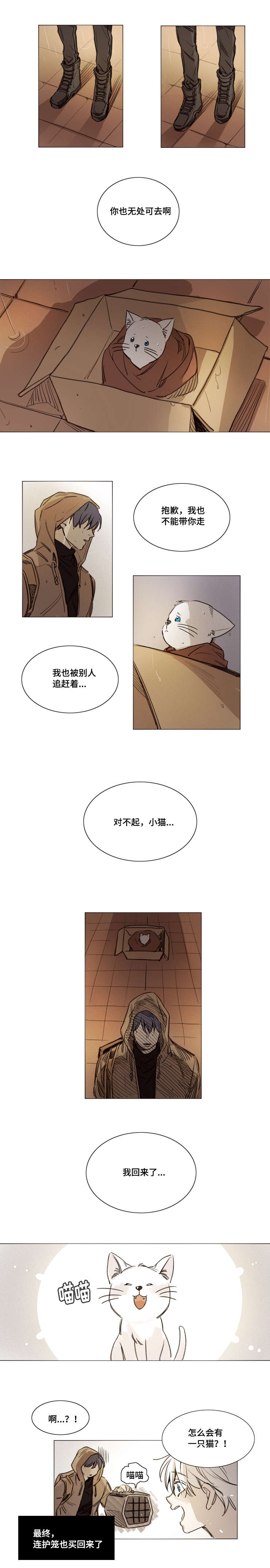 代驾证漫画,第33章：相片5图
