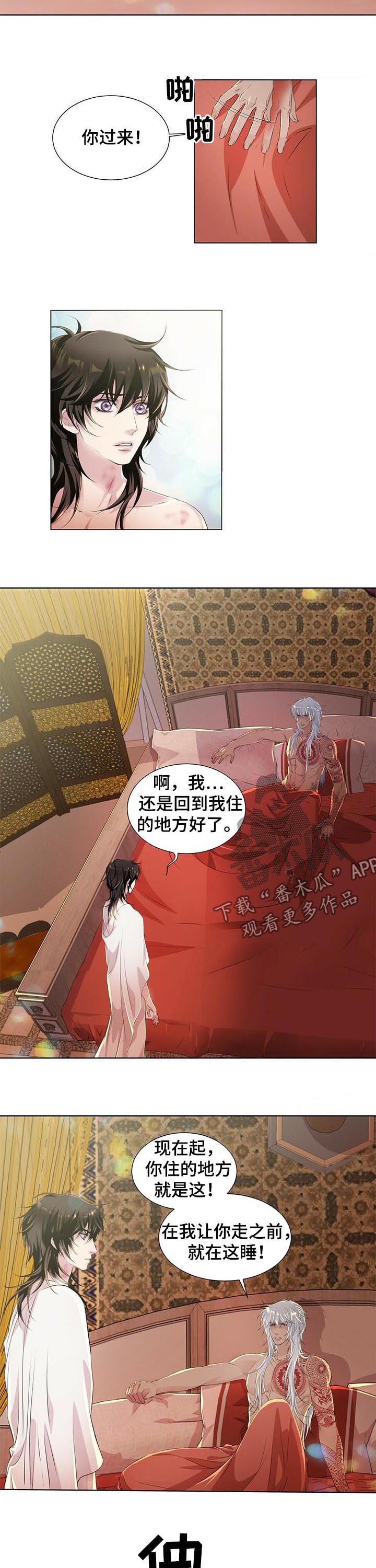 狼王子漫画,第41章：不要装3图