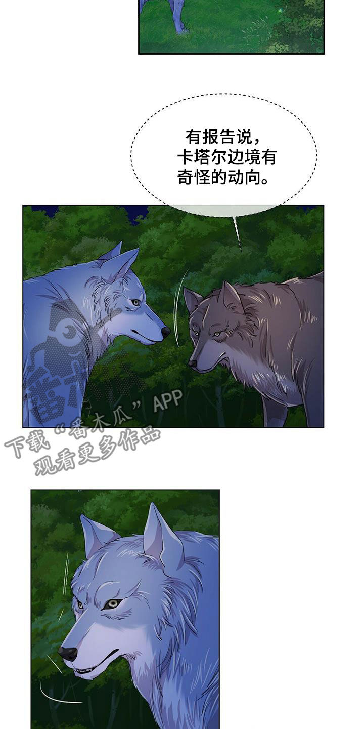 狼王子漫画,第139章：【第二季】质问3图
