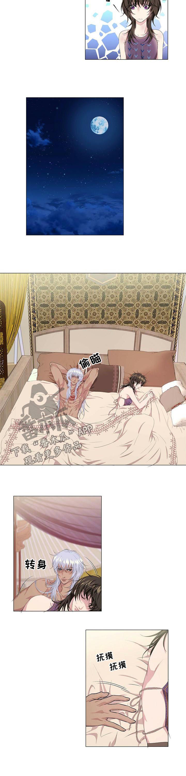 狼王子漫画,第50章：遵守约定3图