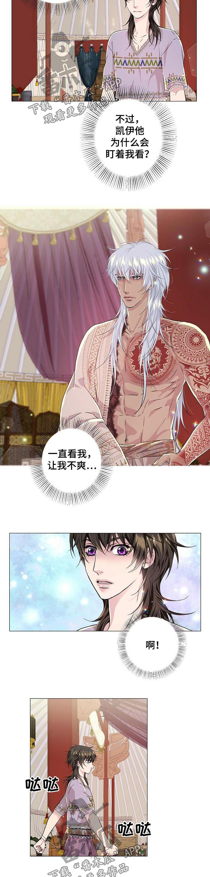 狼王子漫画,第53章：约定的日子3图