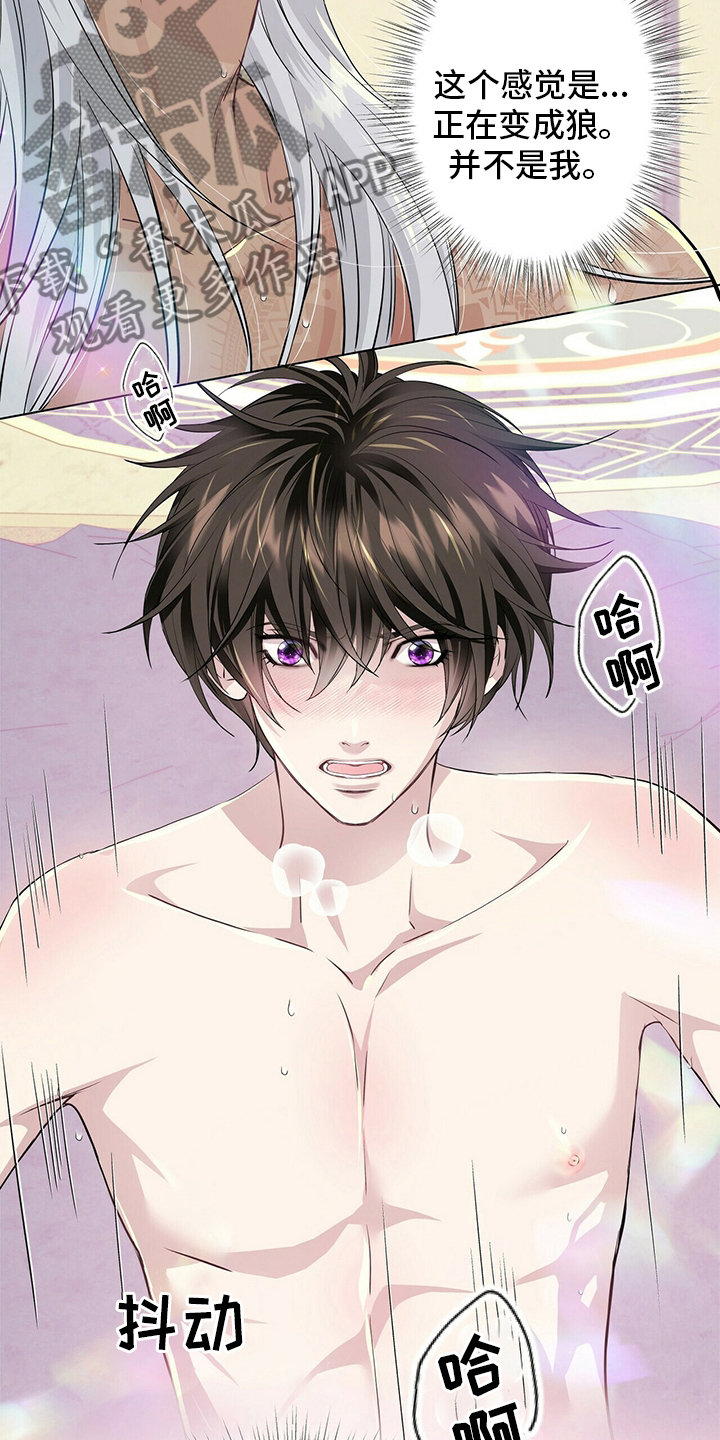 狼王子漫画,第117章：【第二季】变化4图