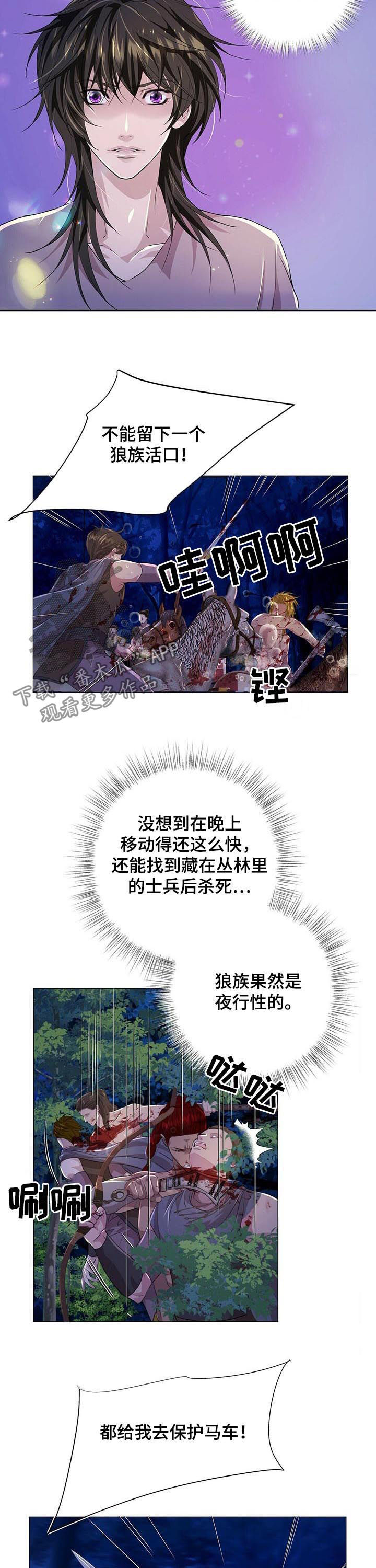狼王子漫画,第76章：攻击3图