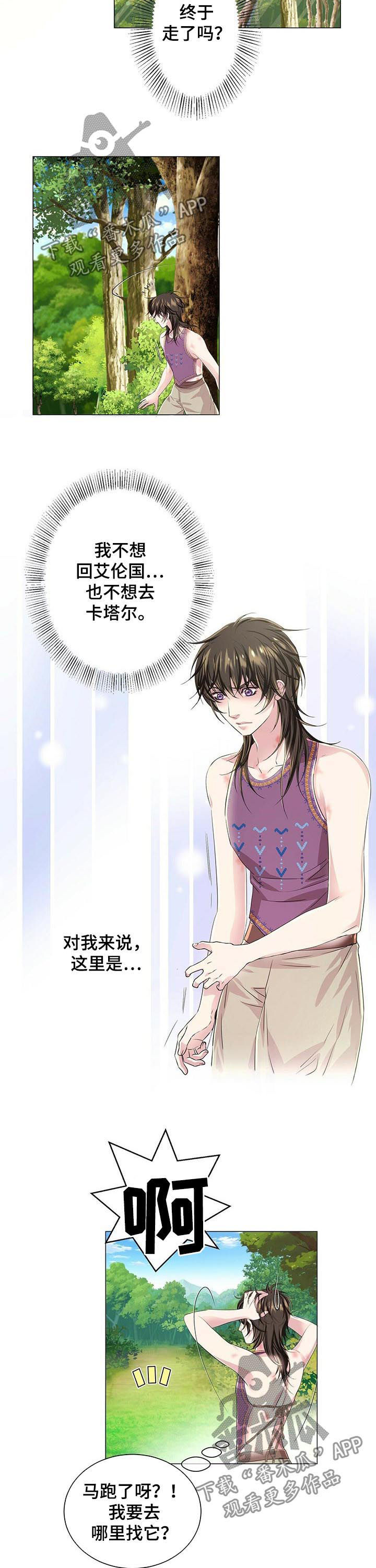 狼王子拍摄地打卡攻略漫画,第45章：怎么补偿1图