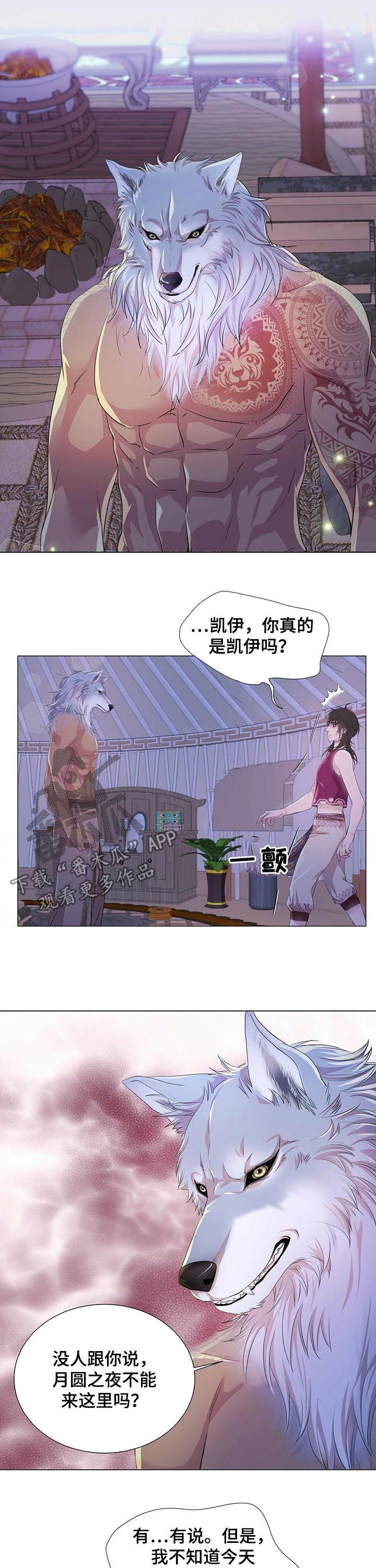 狼王子漫画,第59章：香味5图