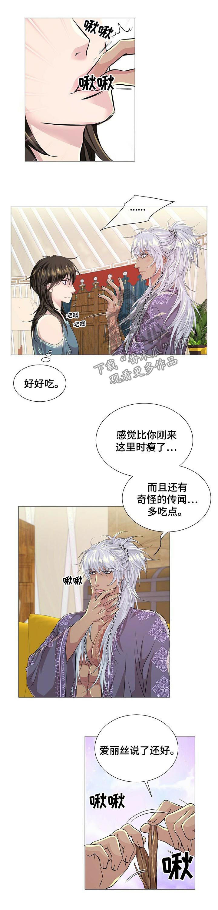 狼王子漫画,第63章：纹身1图