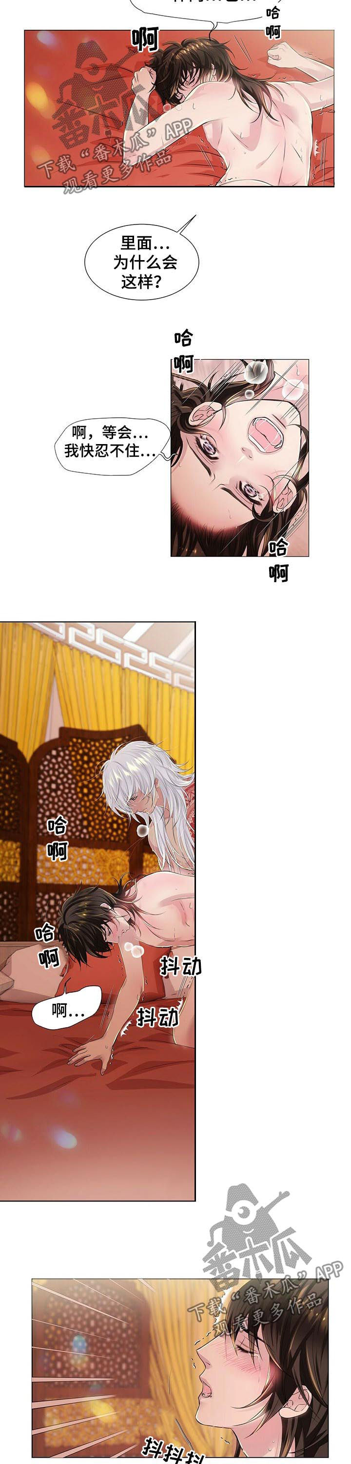 狼王子漫画,第40章：赶紧离开1图