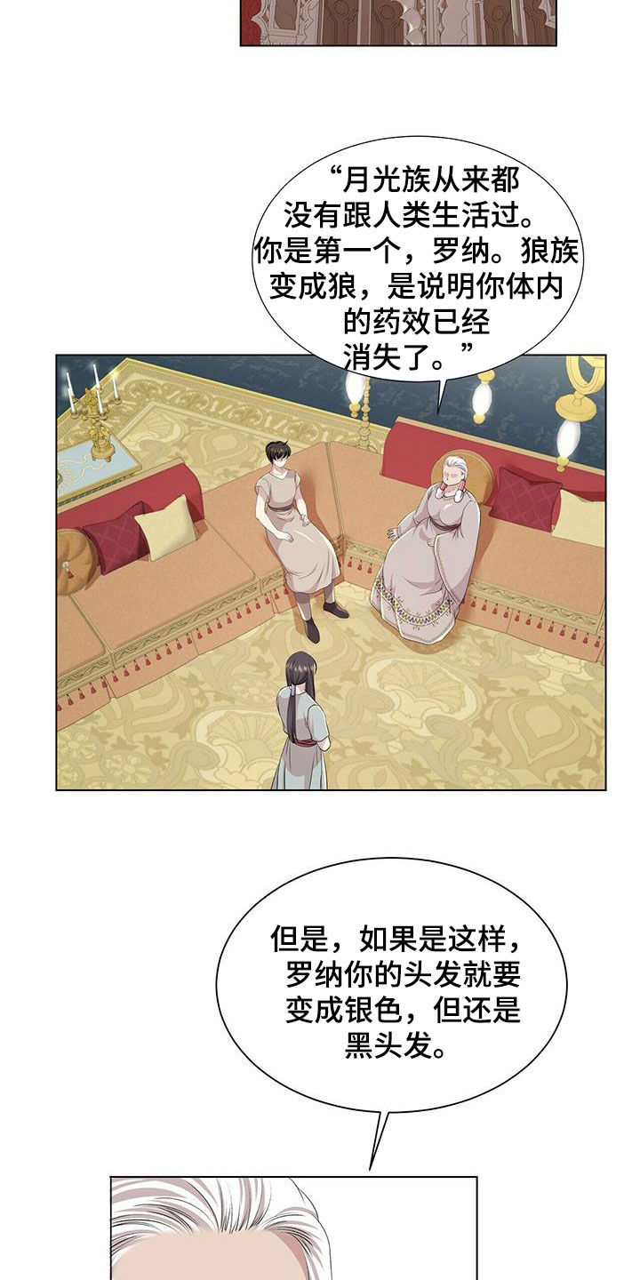 狼王子漫画,第149章：【第二季】银发1图