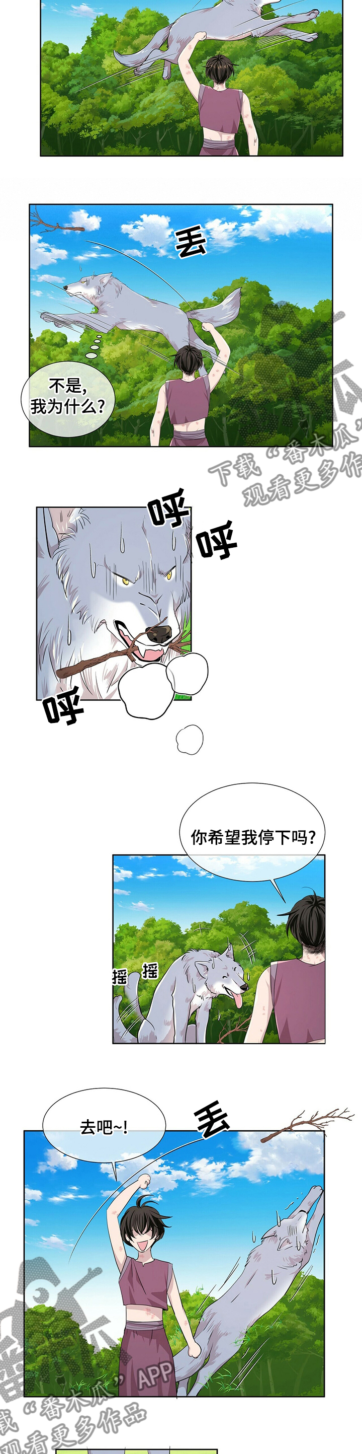 狼王子漫画,第99章：【第二季】其他狼4图