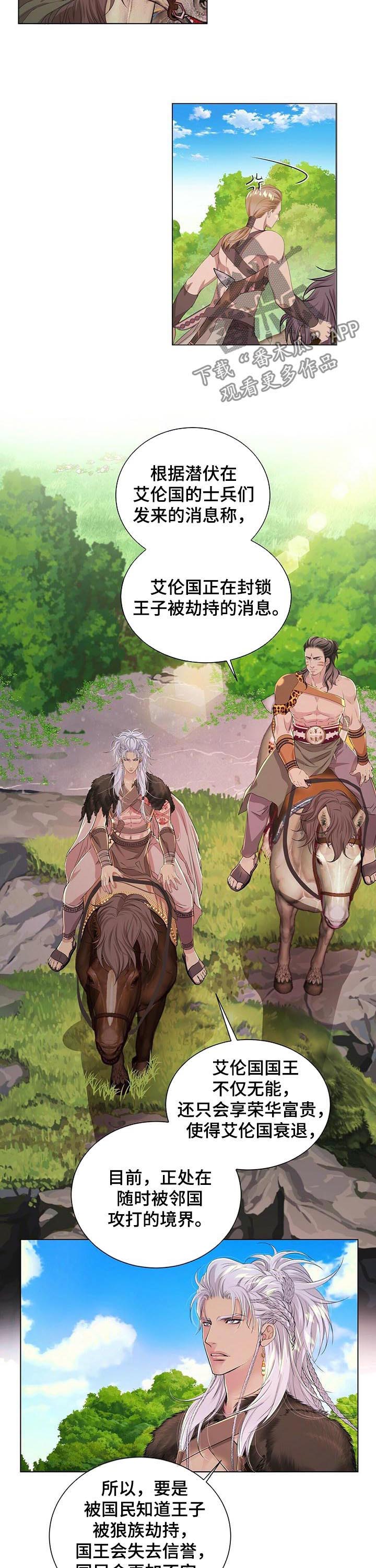 狼王子漫画,第44章：搜寻4图