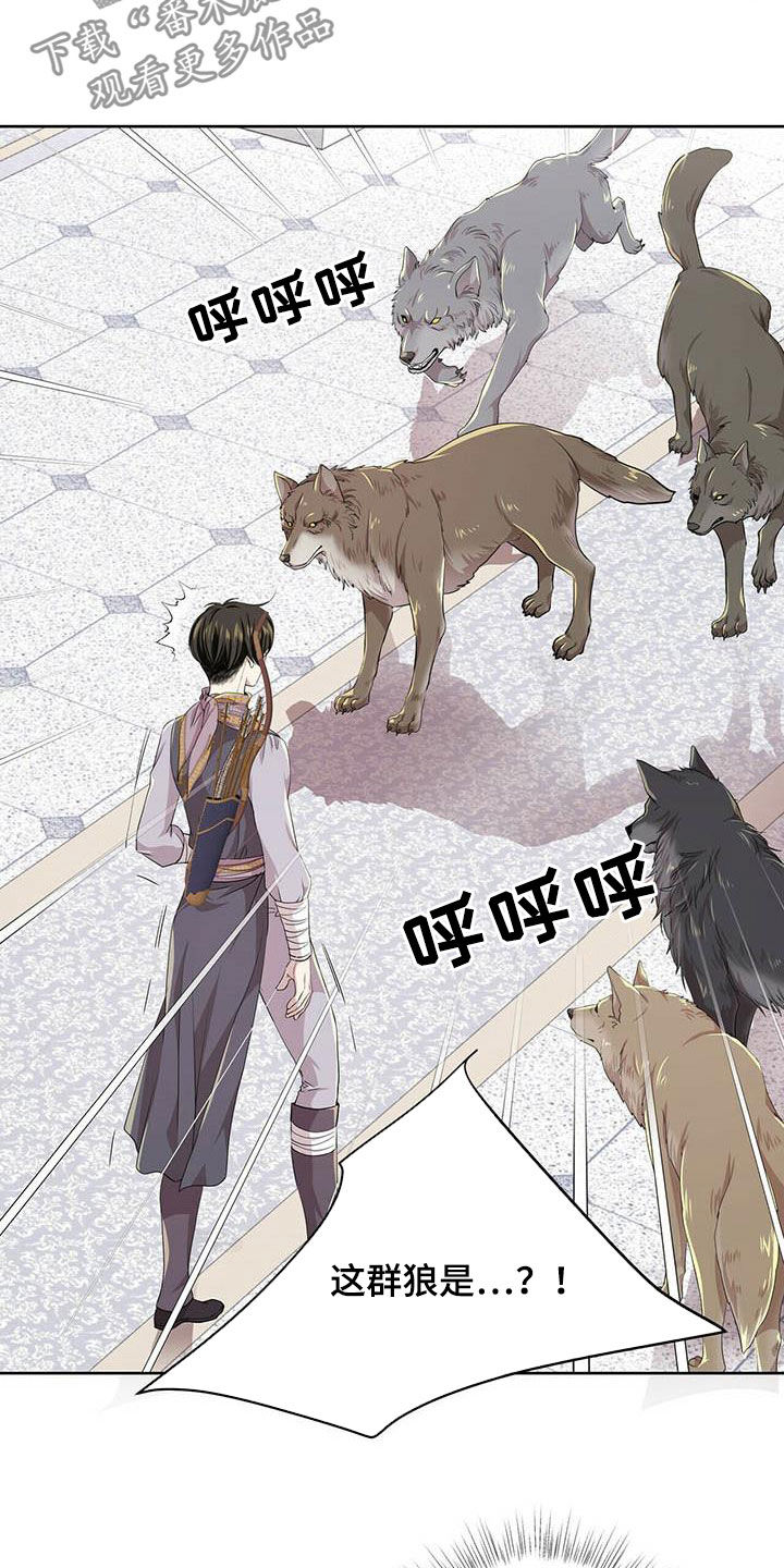 狼王子漫画,第137章：【第二季】声音1图